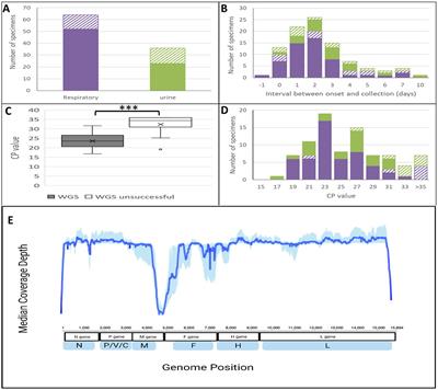 Genomic tools for post-elimination measles molecular epidemiology using Canadian surveillance data from 2018–2020